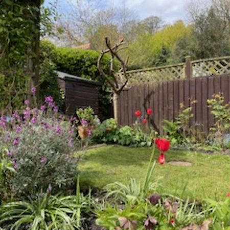Picturesque Stone Cottage In The Heart Of North Yorkshire Village - Hideaway Cottage Exteriör bild