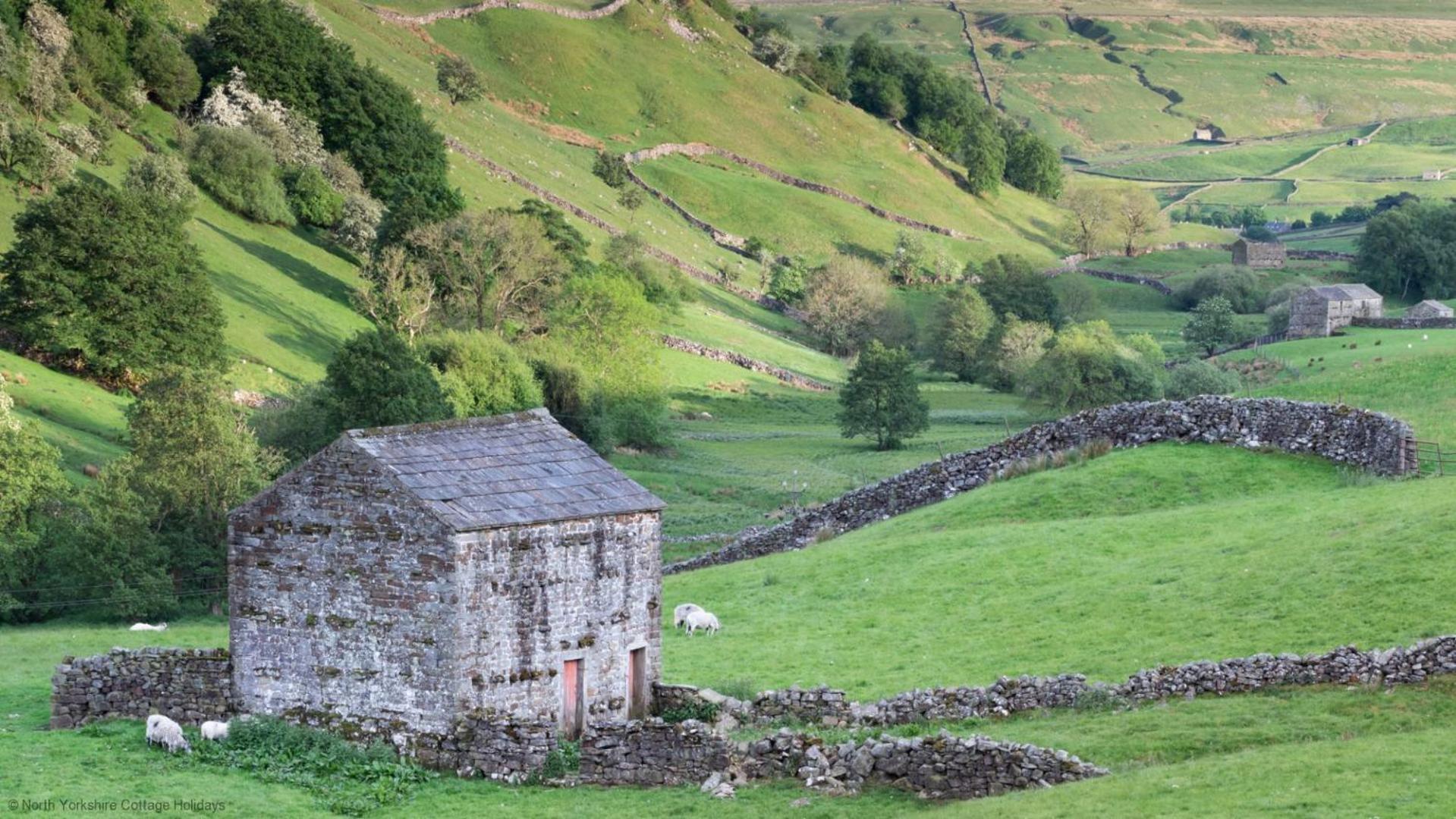 Picturesque Stone Cottage In The Heart Of North Yorkshire Village - Hideaway Cottage Exteriör bild