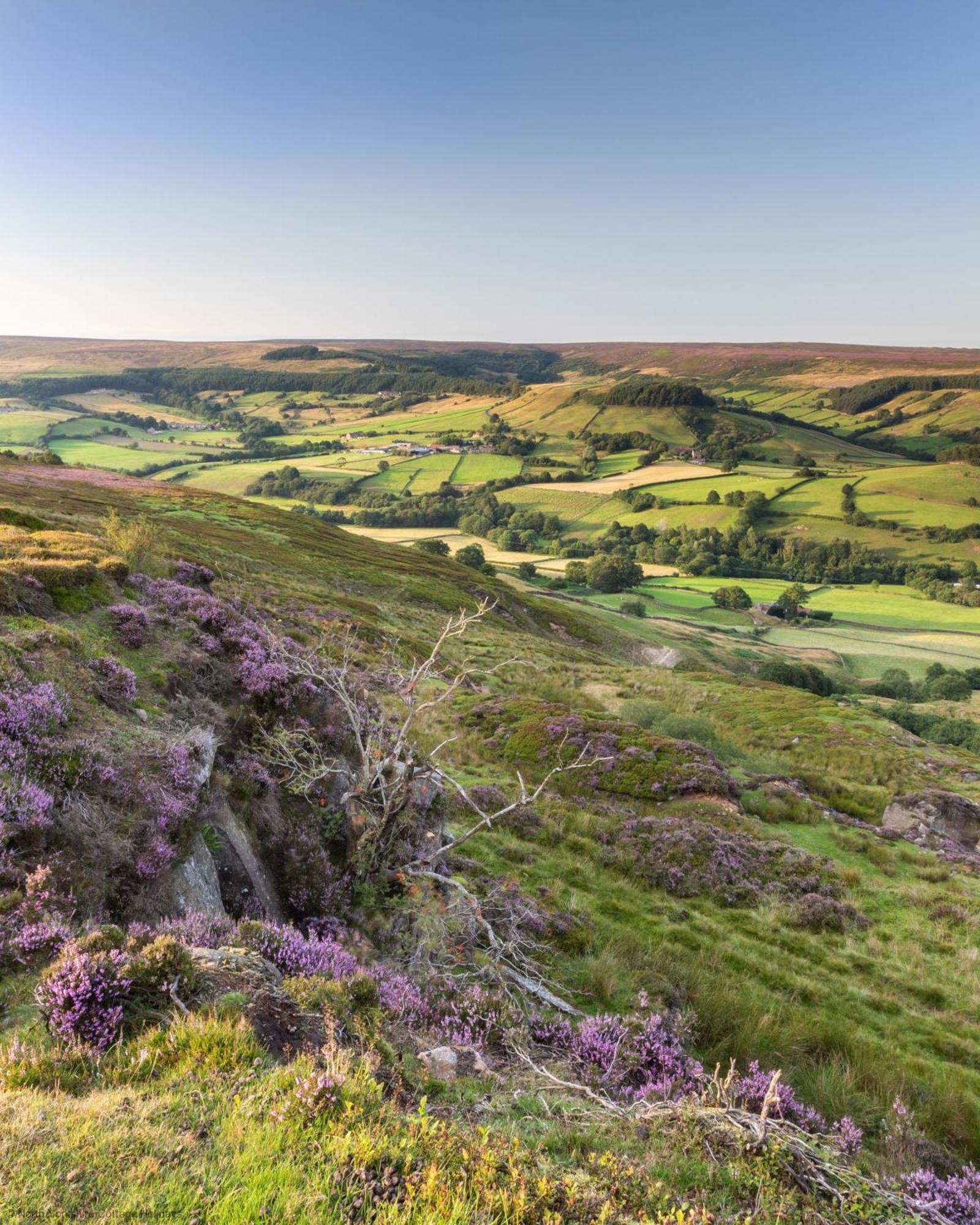 Picturesque Stone Cottage In The Heart Of North Yorkshire Village - Hideaway Cottage Exteriör bild
