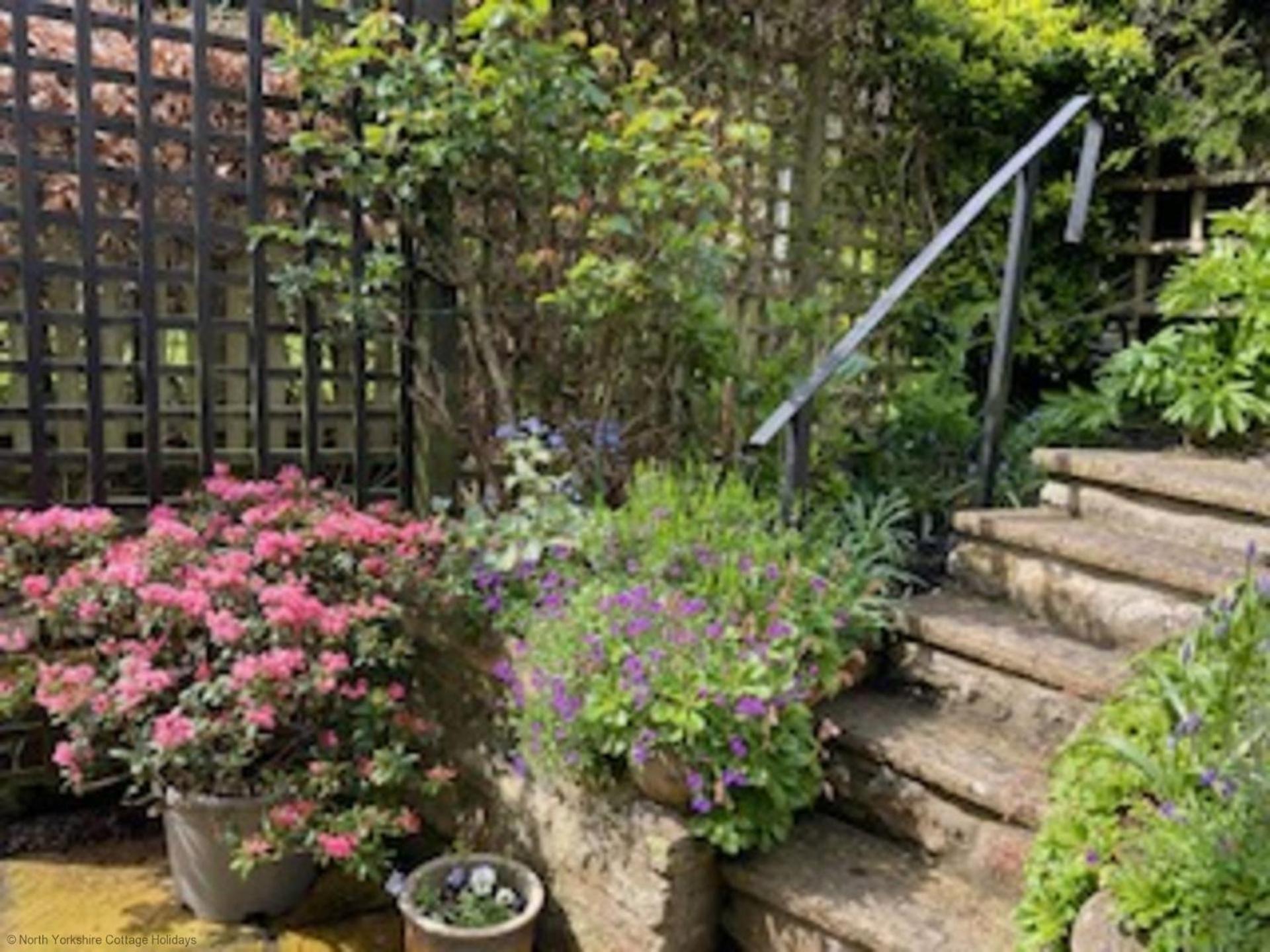 Picturesque Stone Cottage In The Heart Of North Yorkshire Village - Hideaway Cottage Exteriör bild