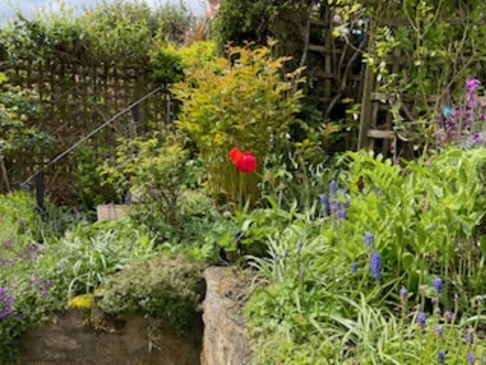Picturesque Stone Cottage In The Heart Of North Yorkshire Village - Hideaway Cottage Exteriör bild